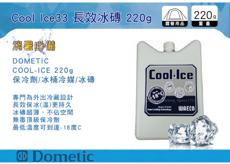 Dometic Cool Ice 長效冰磚 保冷劑 220g CI220 (WAECO) 冰桶冷媒
